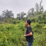 IMG-20250319-WA0059
