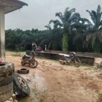 Pemerintah Jangan tutup Mata usut sampai tuntas perusahaan ” Nakal