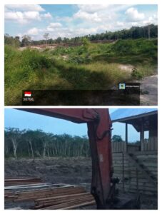 *PERAMBAHAN HUTAN MASIF DI TANJUNG KUBUR: RATUSAN HEKTAR DIBUKA DAN DITANAMI KELAPA SAWIT, MASYARAKAT MENEGASKAN "PEMERINTAH TIDAK MUNGKIN KALAH DENGAN PREMAN*